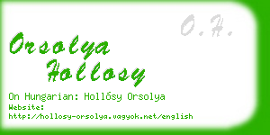 orsolya hollosy business card